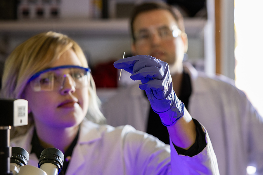 lab technician examining a specimen