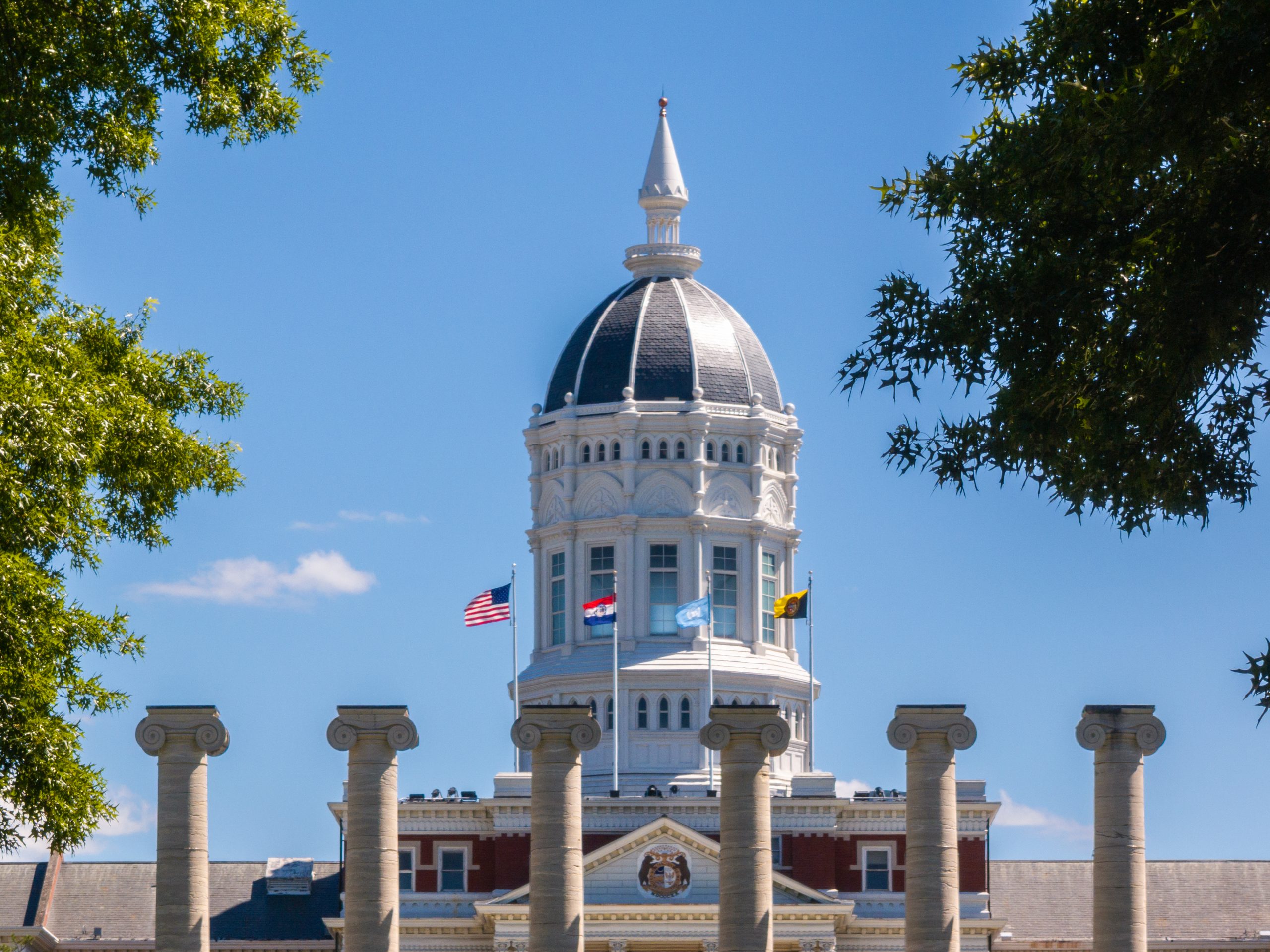The Jesse Hall Dome and the top of the Columns